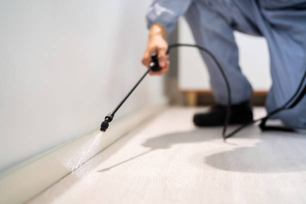 Licensed Pest Control service in Spruce Pine, NC - Show Me Pest Control