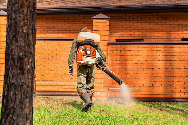 Bed Bug Clearance Verification and Documentation in Spruce Pine